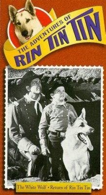 The Adventures of Rin Tin Tin - Ein Hund mit Herz und ein spannender Wildwest-Thriller!